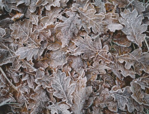 5 Signs Your Air Conditioning System Needs a Winter Service