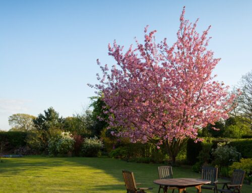 Air Conditioning Installation and the Challenge of Hotter UK Summers